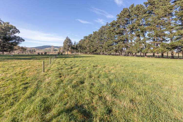 8 Anzac Street Waipara_28