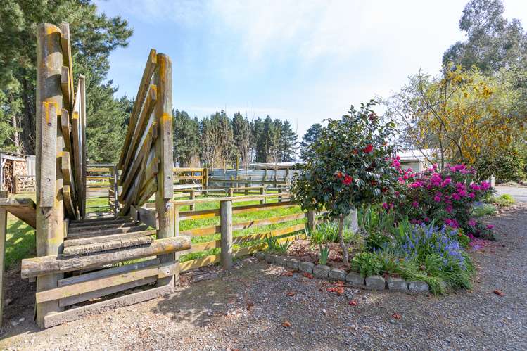 56 Upper Manaia Road Upper Plain_15