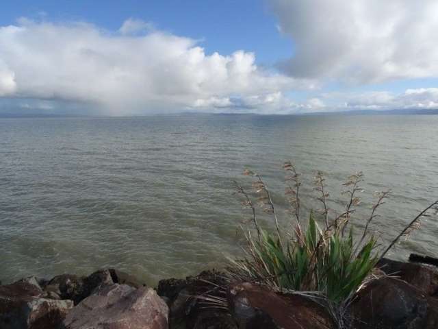 421 Fergusson Drive Thames_1