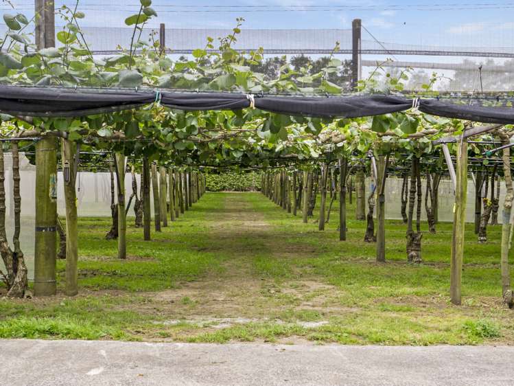 151 Beach Road Katikati_30