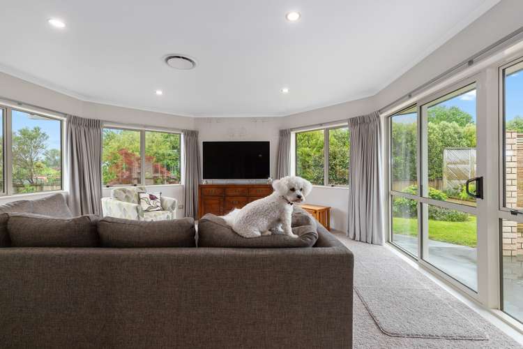 5 Mountain View Road Te Aroha_6