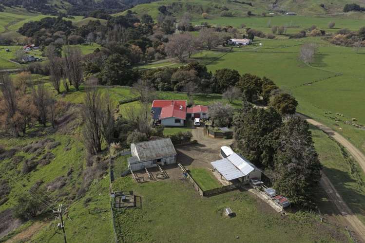 1550 Glenora Road Akitio_35