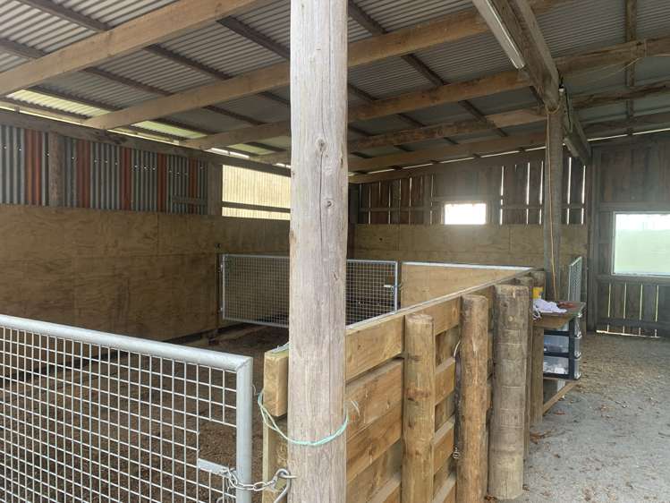 19 Puketutu Road Matamata_16