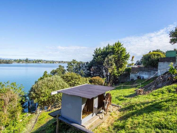340B Maungatapu Road Tauranga South_7