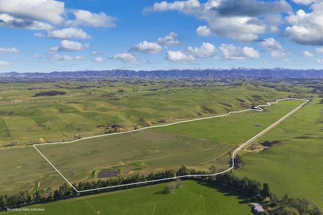 Ngaruru Road Ongaonga_1