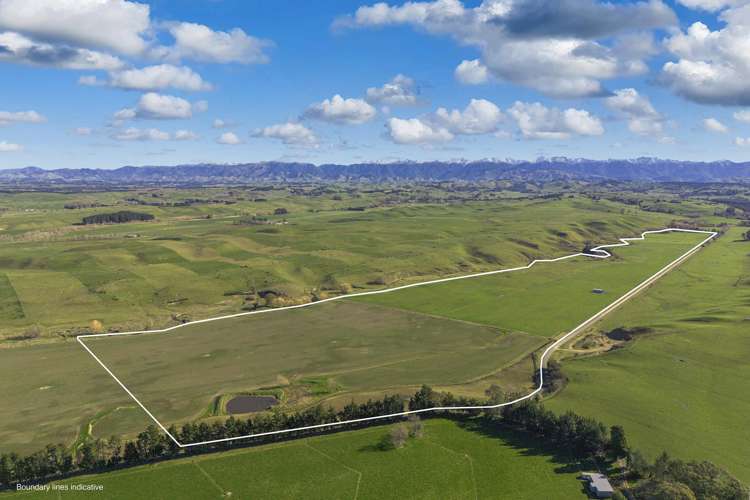 Ngaruru Road Ongaonga_1