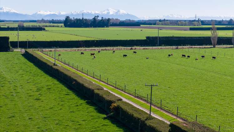 1467 Boundary Road Ashburton_6