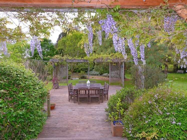 429 Kohatu-Kawatiri Highway Kahurangi National Park_3