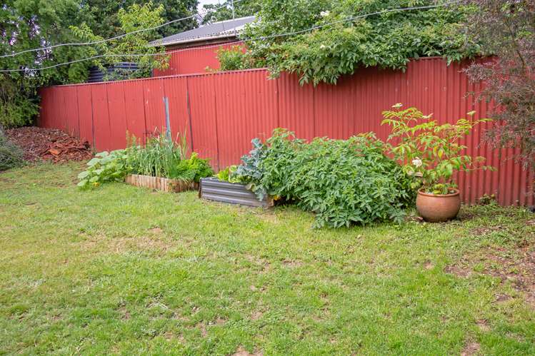 55 Lincoln Road Henderson_21