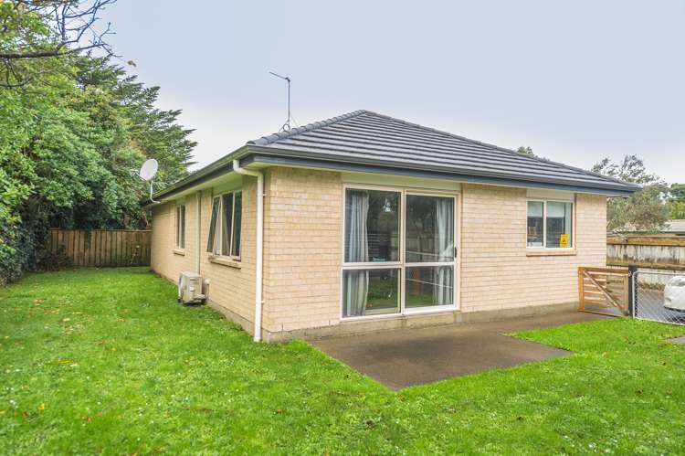 3a Plunket Street Durie Hill_13