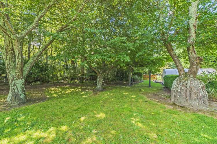 428 Kowai Road Springfield_34