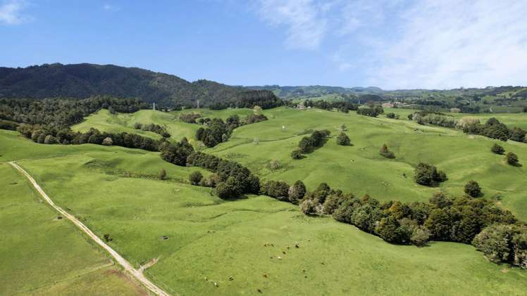 2051 Paparoa-Oakleigh Road Taipuha_4