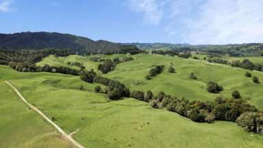 2051 Paparoa-Oakleigh Road_4