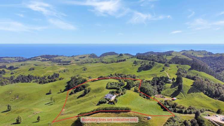 Herepuru Road Matata_5