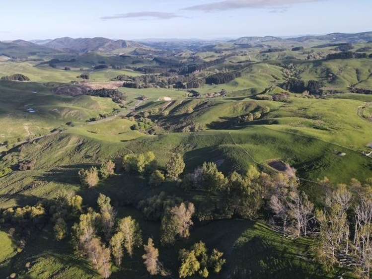 2256 Weber Road Dannevirke_11
