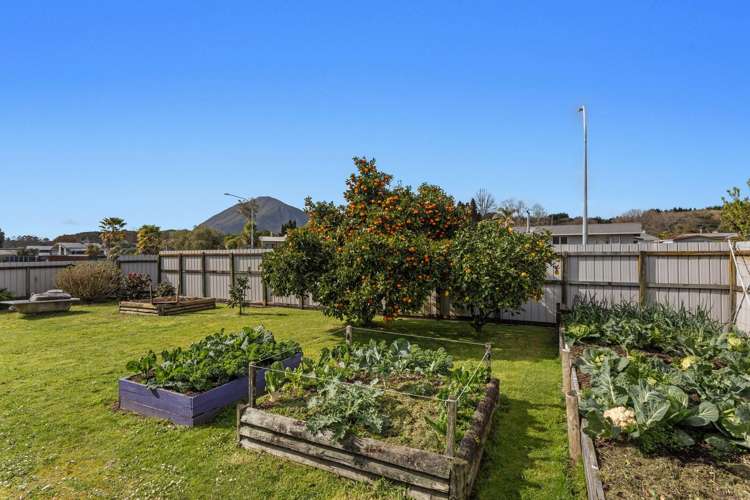 145 Valley Road Kawerau_12