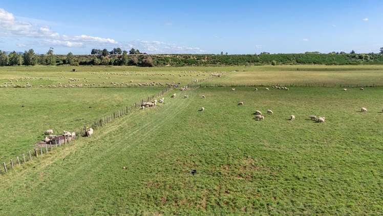 801 Cornwall Road Gladstone_5