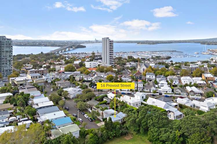 16 Provost Street Ponsonby_20