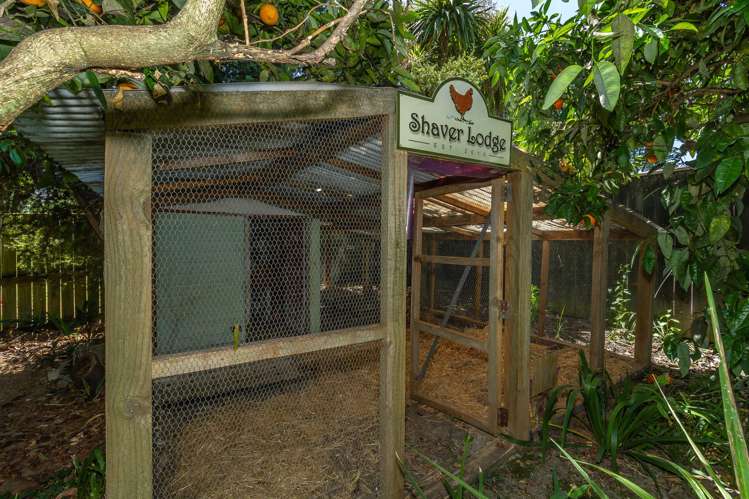 92 Avondale Road Taradale_19