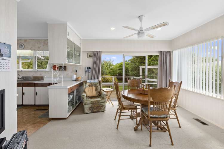 9 Osborne Avenue Morrinsville_7