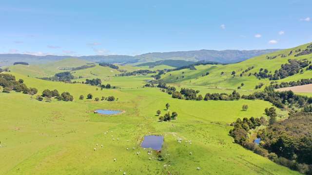 83 Towai Road Dannevirke_3