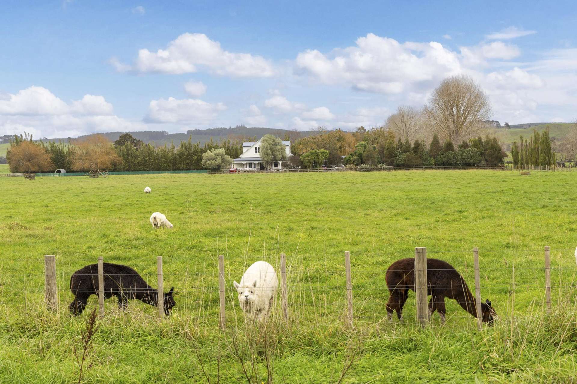 2179 State Highway 16 Helensville_0