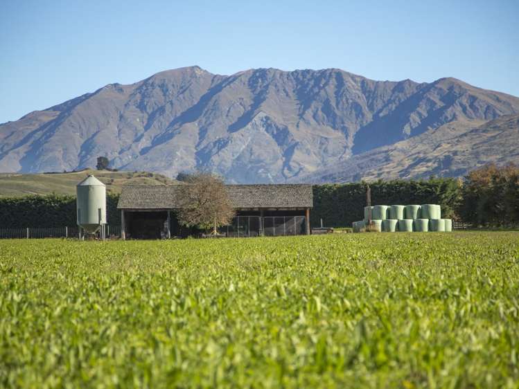 704 Malaghans Road Speargrass Flat_18