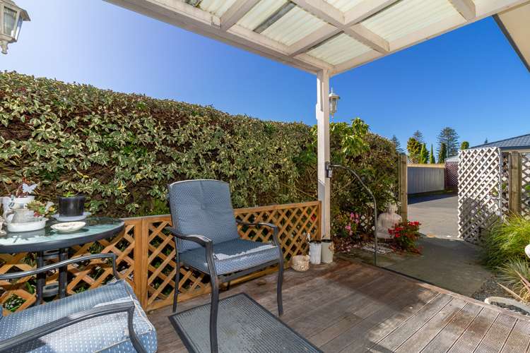 111b Nelson Crescent Napier South_3