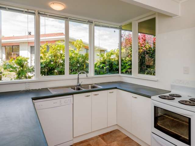 8b Conway Street Levin_2