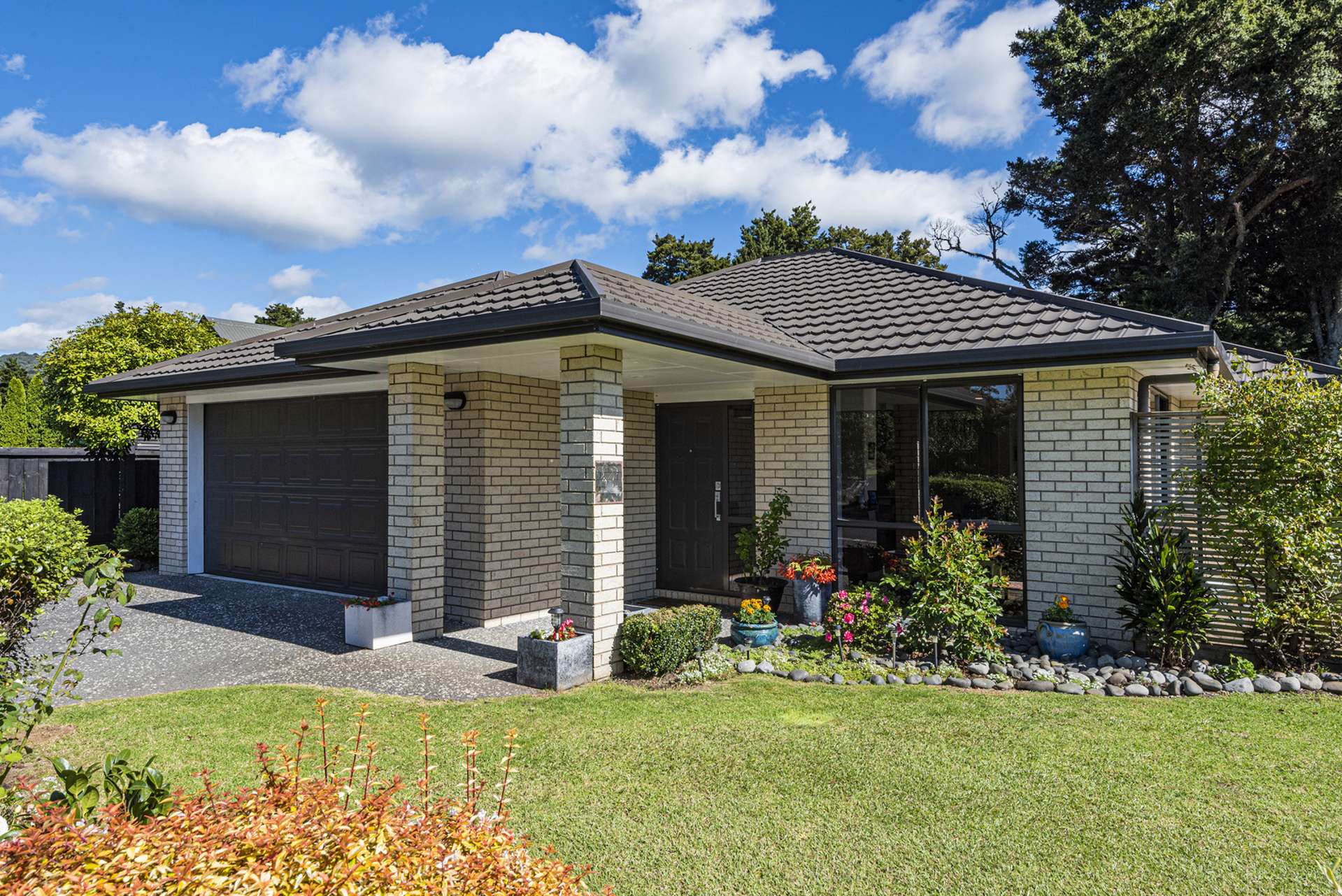 8 Halcyon Place Whau Valley_0