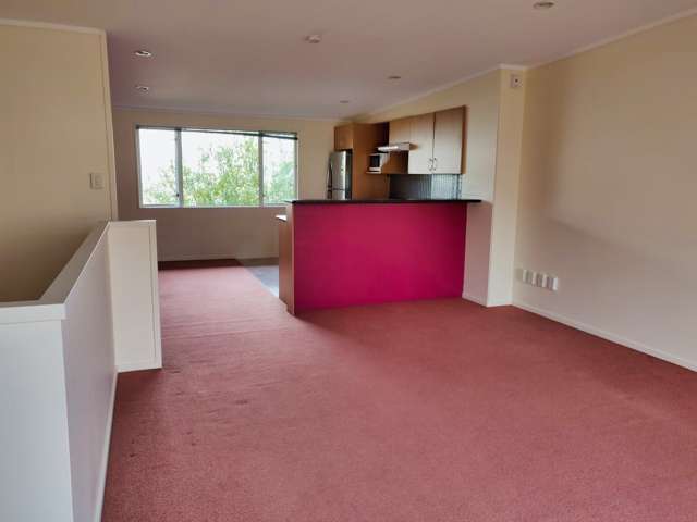 8/3 Kelvin Grove Te Aro_2