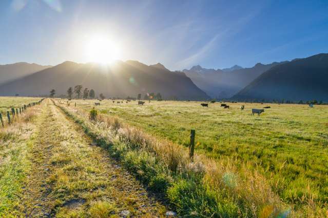 298 Cook Flat Road Fox Glacier_4