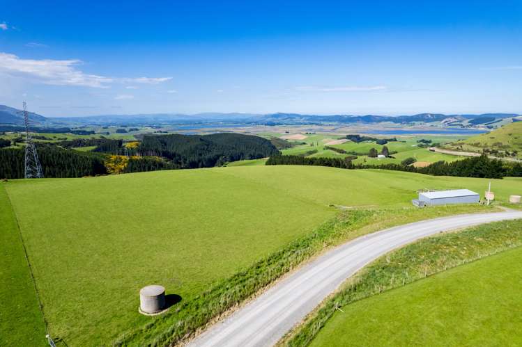 Waihola Hill Road Milton_1