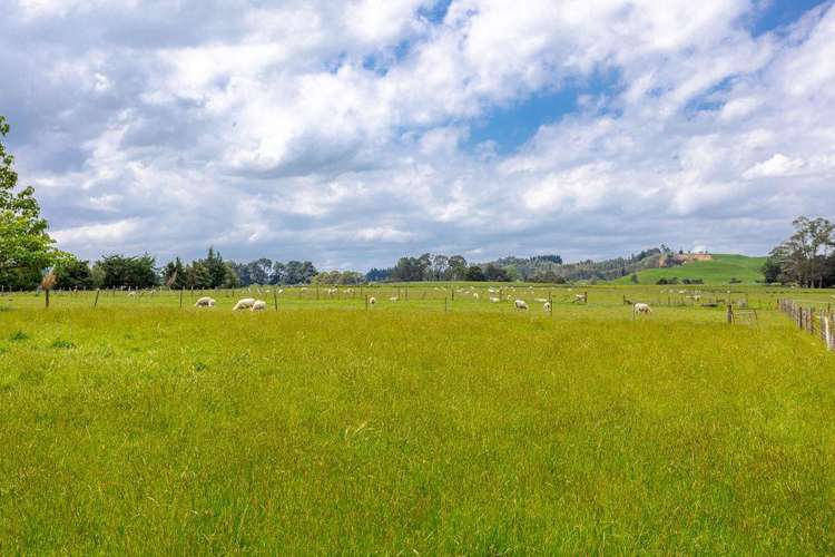 87 Otanga Road Dannevirke_24