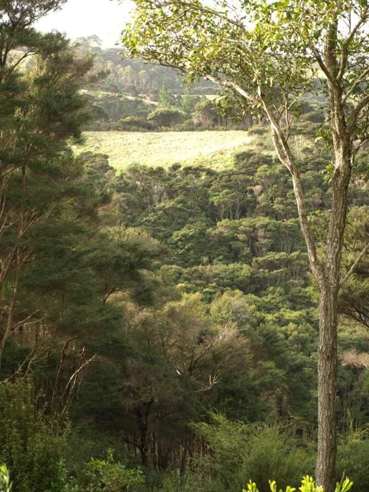 379a Cowes Bay Road Waiheke Island_16