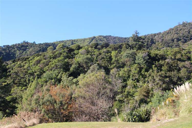 20 Russell Street Picton_2