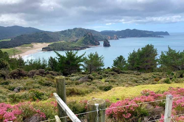 346 Gray Road Great Barrier Island (Aotea Island)_31