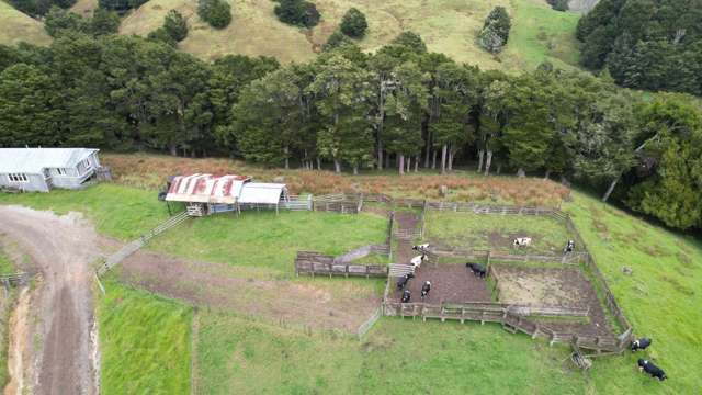 398 Bull Road Paparoa_4