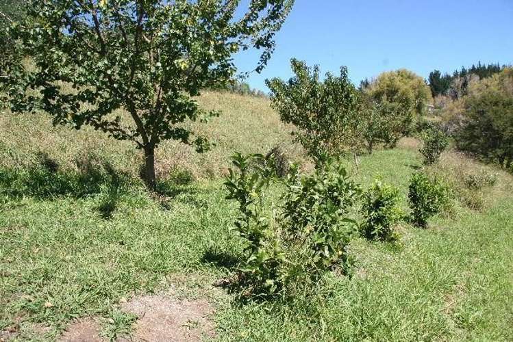 4 Governors Heights Whangamata_10