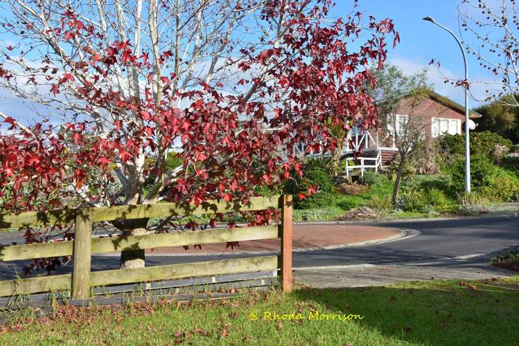 8 Heaths Way Paparoa_55