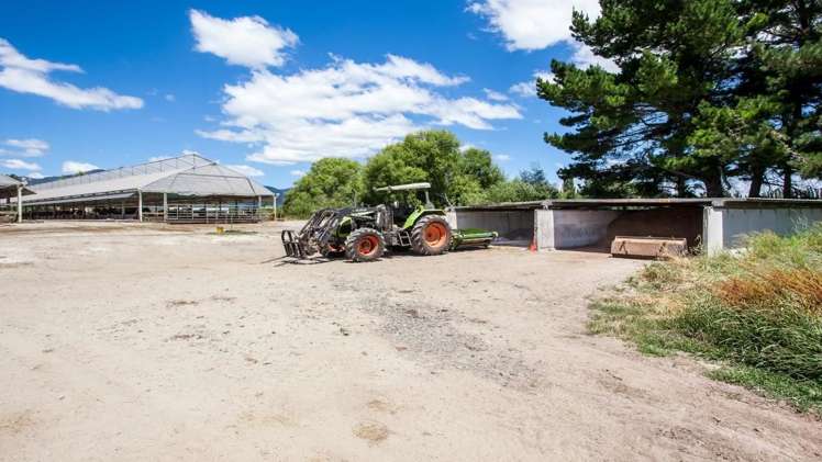 128 Mangamutu Road Murupara Surrounds_3