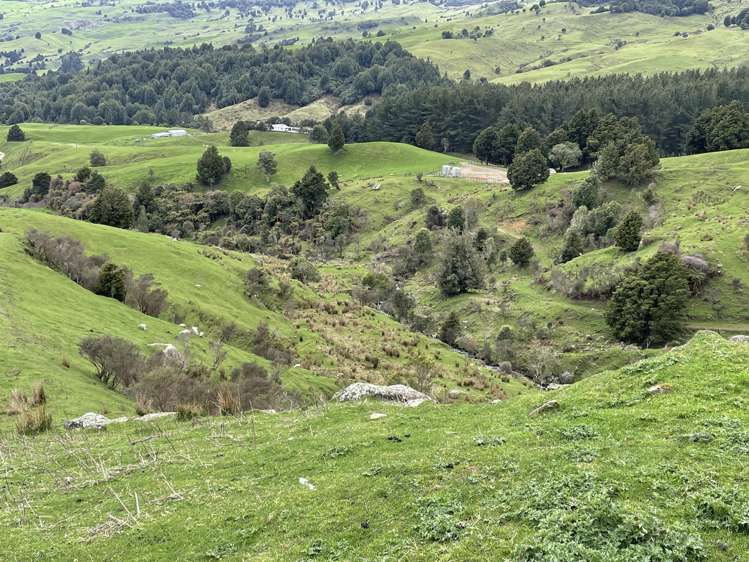 Mangakahu Valley Road Waimiha-Ongarue_17