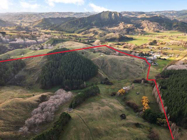 5 Manawa Road Tinui_1