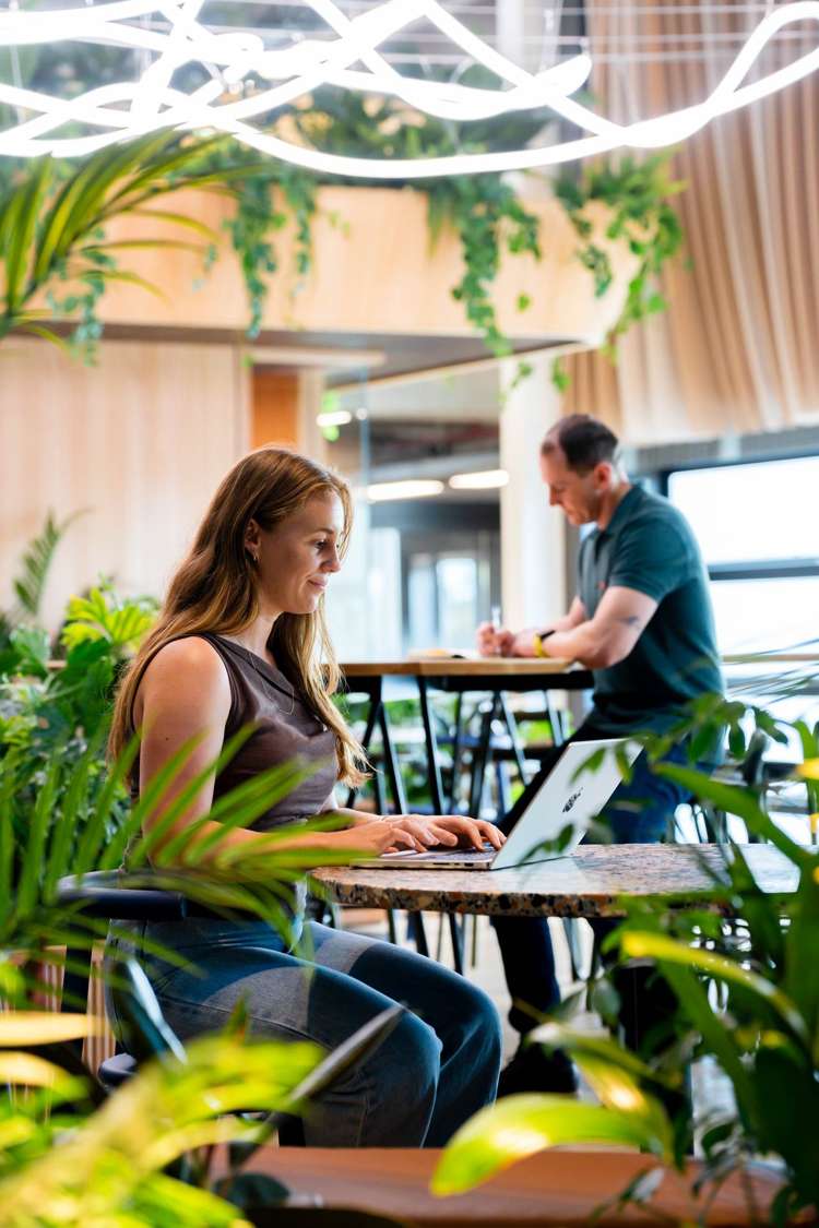 74-78 Taharoto Road Takapuna_17