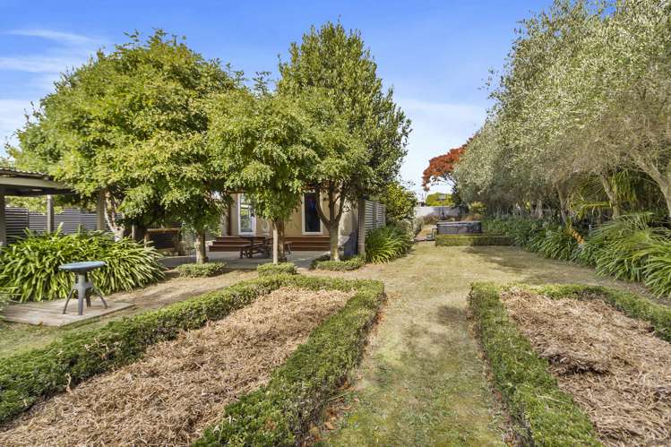 58 Harris Street Pleasant Point_5