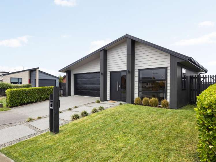 13 Lulu Avenue_0