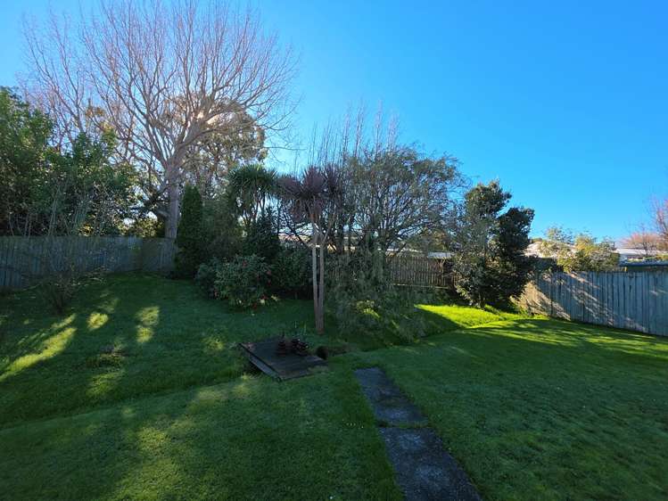 65 Phillips Street Sanson_20