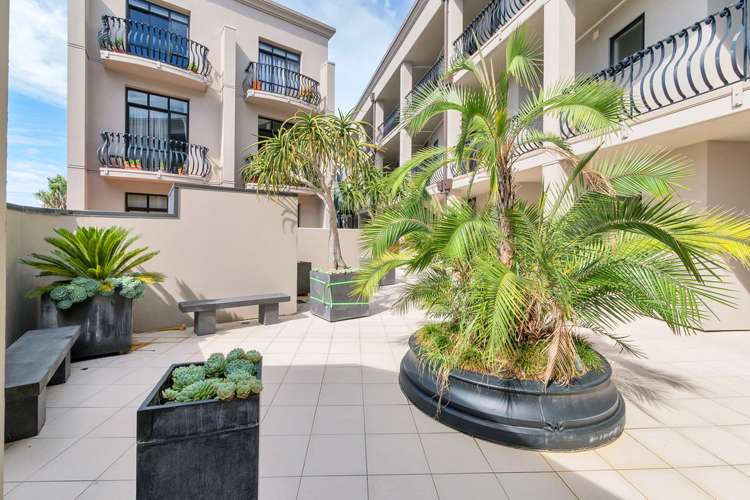 3m/6 Burgoyne Street Grey Lynn_12