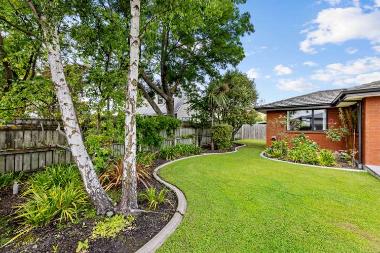 131a Redwood Street Redwoodtown_23