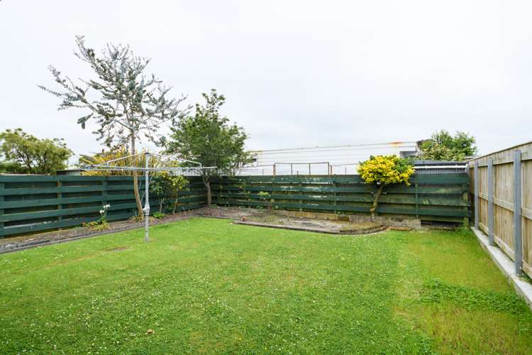 47a Haydon Street Roslyn_21